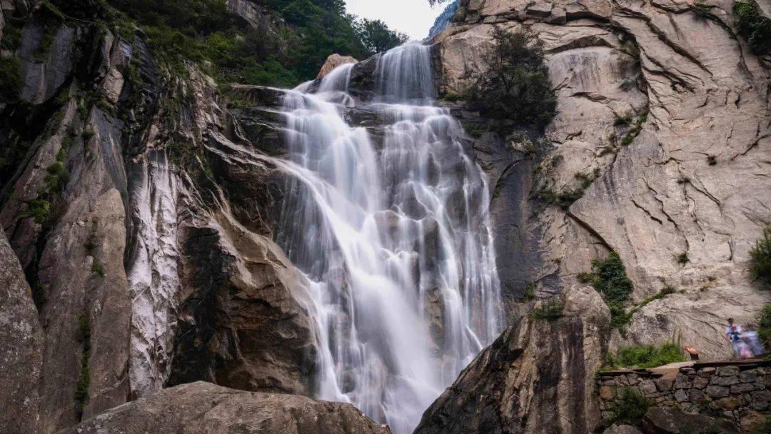 虫虫助手下载
